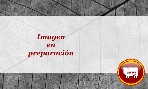 Directiva AFECH